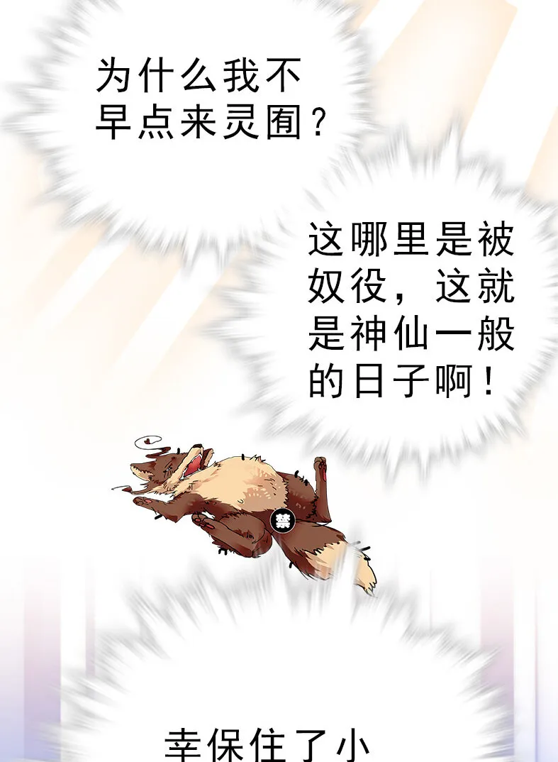 044 支线任务 第10页