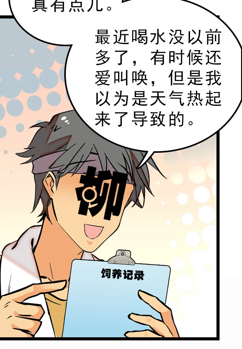 044 支线任务 第19页