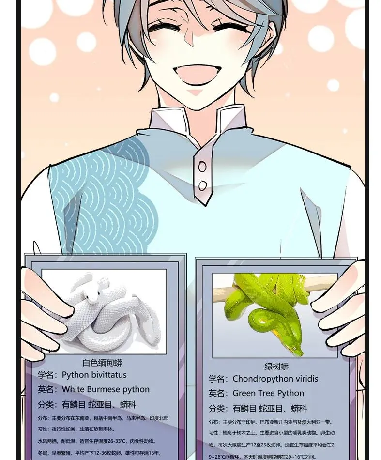 050 灵蛇化形 第3页