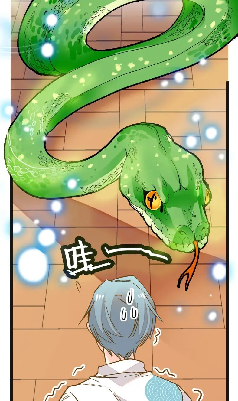 050 灵蛇化形 第14页