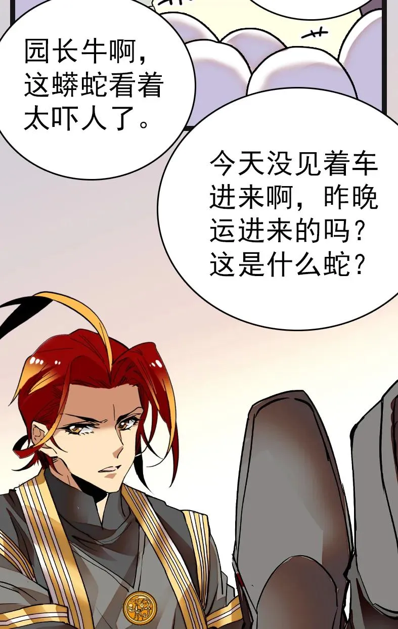 050 灵蛇化形 第29页
