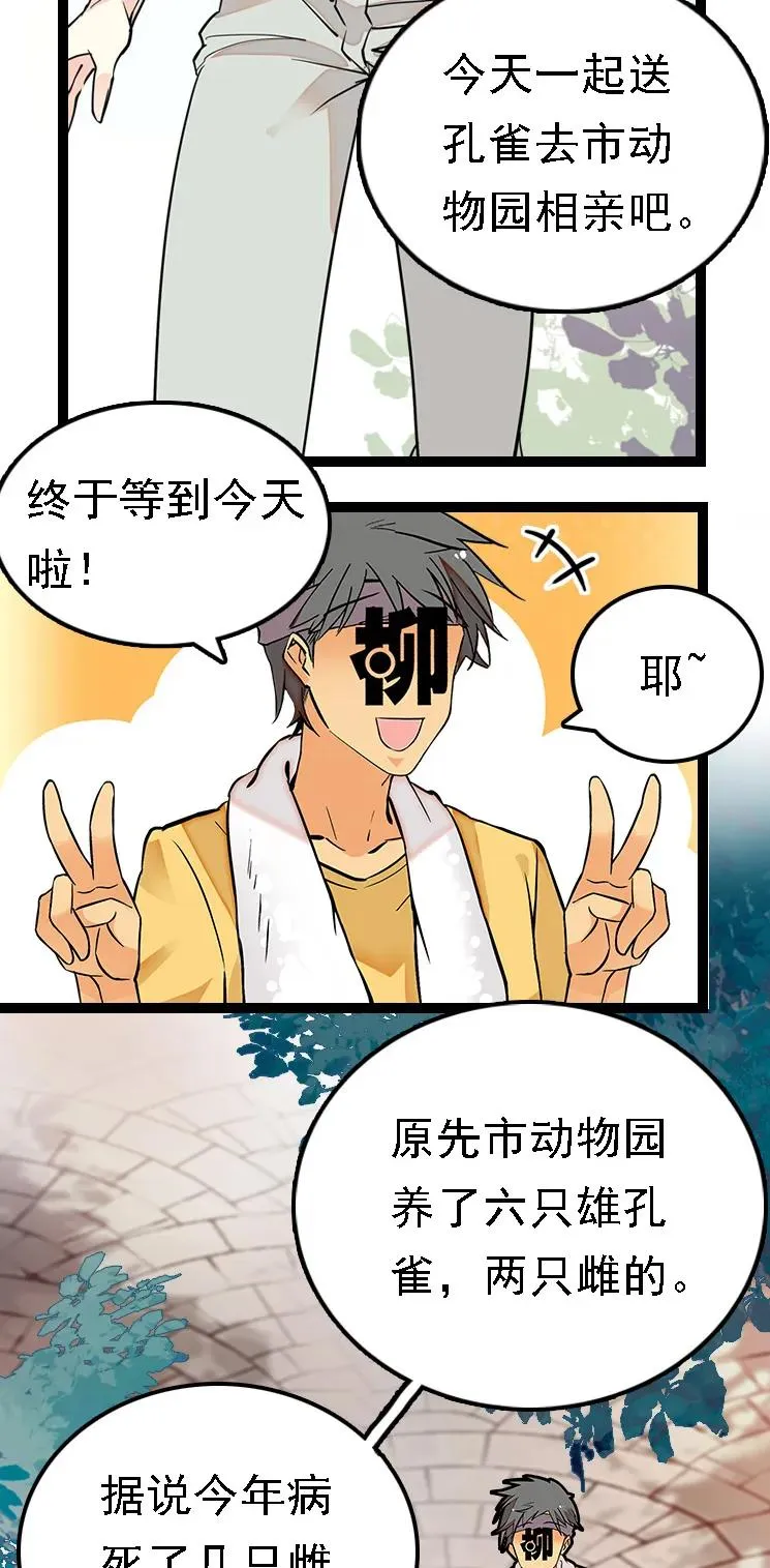 051 孔雀霸王 第2页
