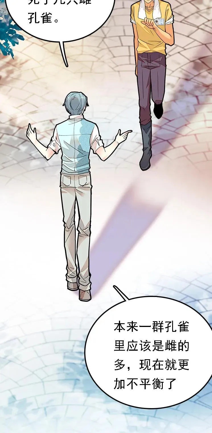 051 孔雀霸王 第3页