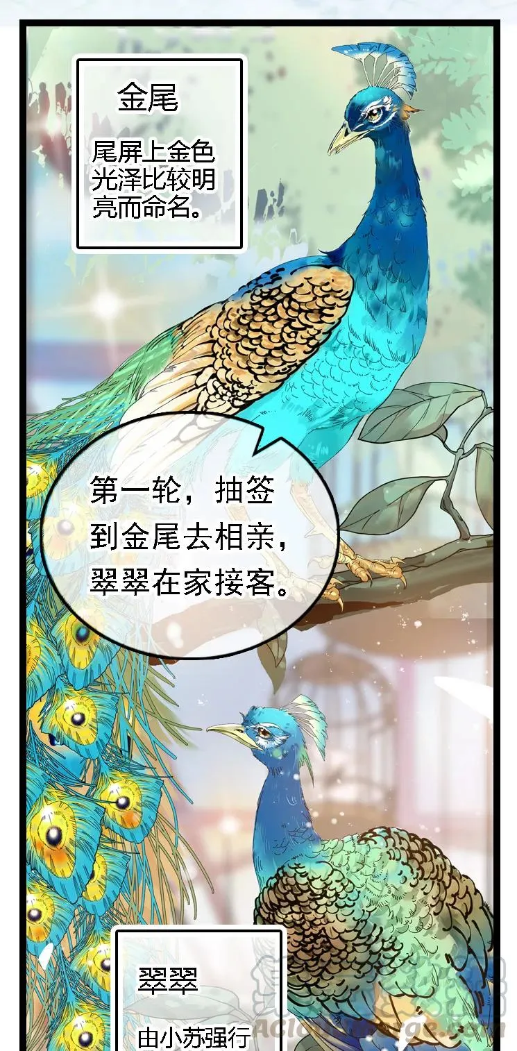 051 孔雀霸王 第4页
