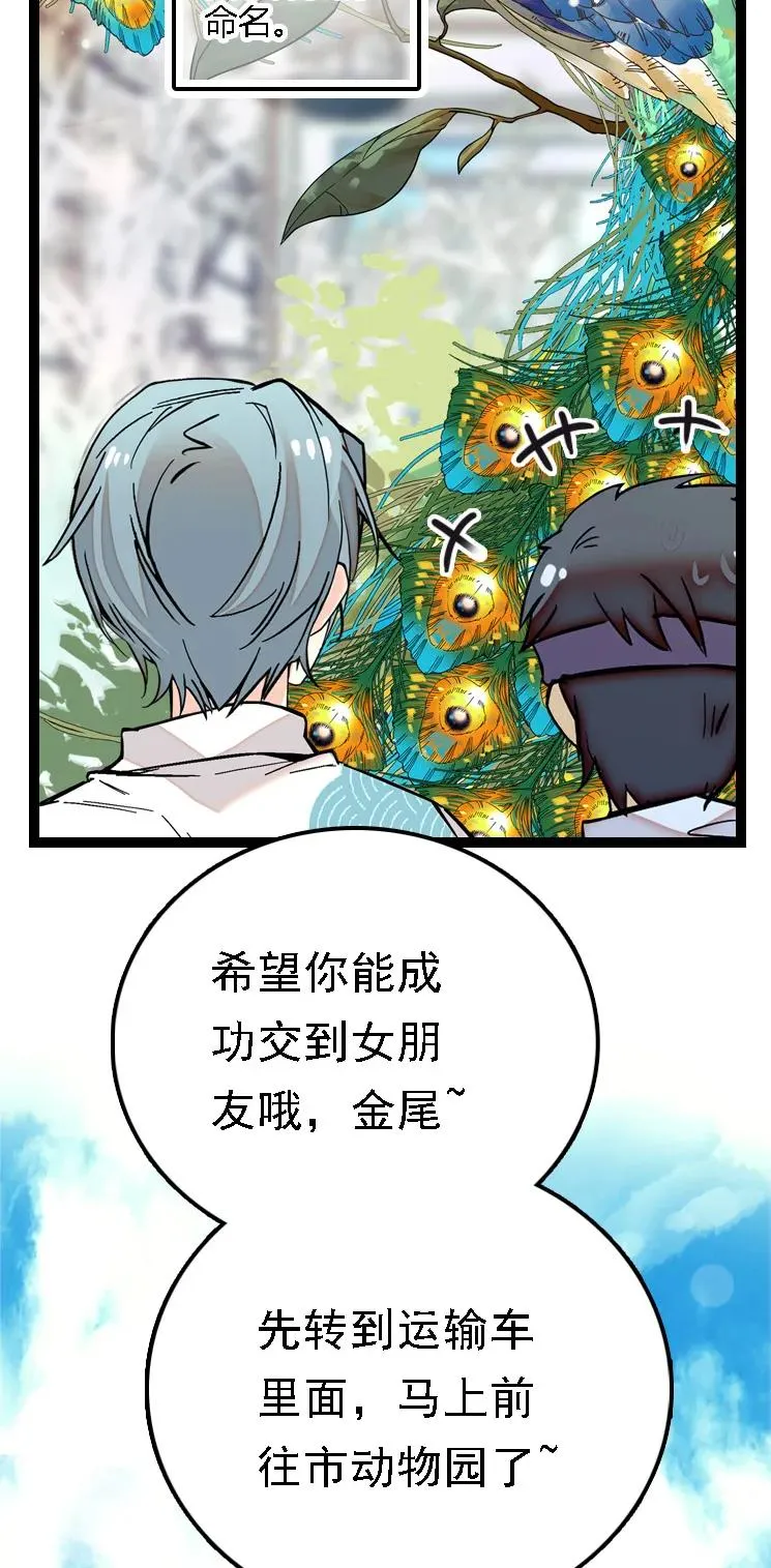 051 孔雀霸王 第5页