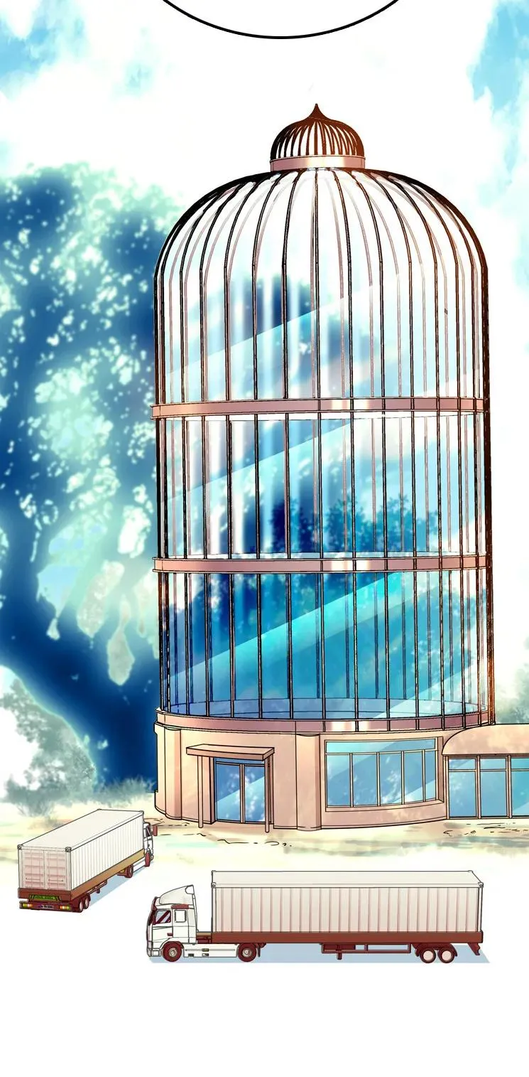 051 孔雀霸王 第6页