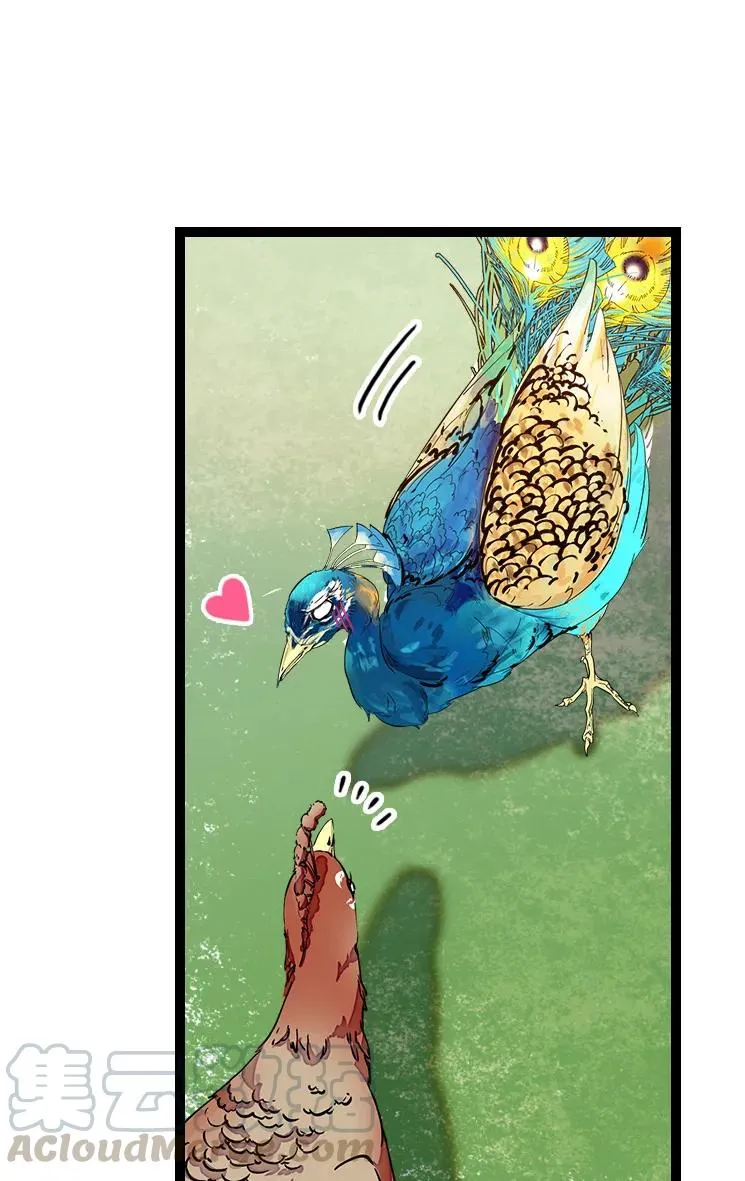 051 孔雀霸王 第13页