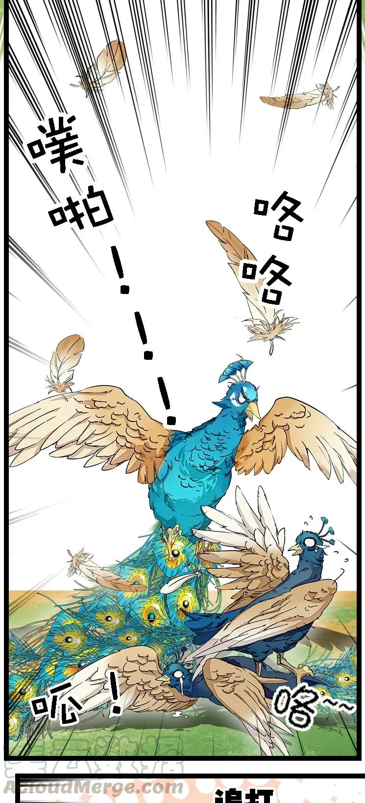 051 孔雀霸王 第22页