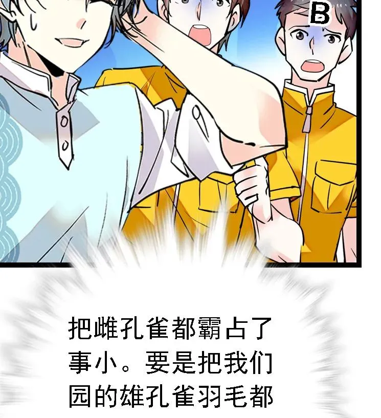 051 孔雀霸王 第26页