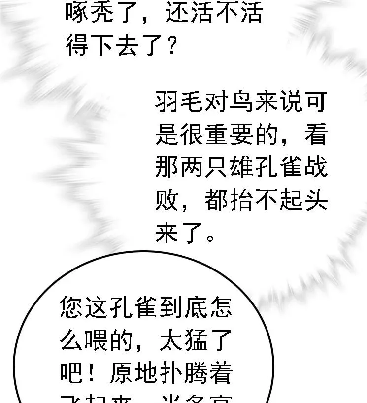 051 孔雀霸王 第27页