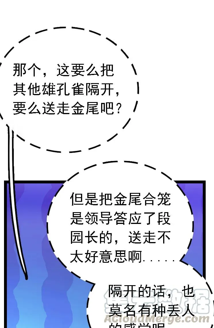 051 孔雀霸王 第31页