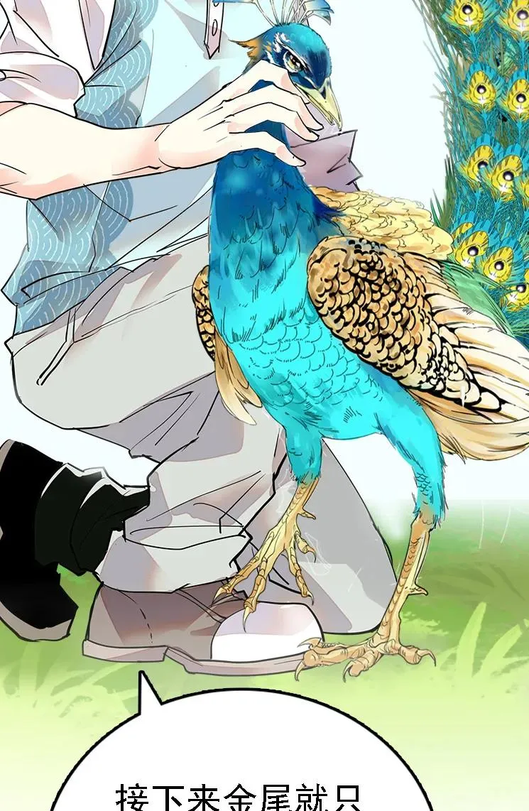 051 孔雀霸王 第35页