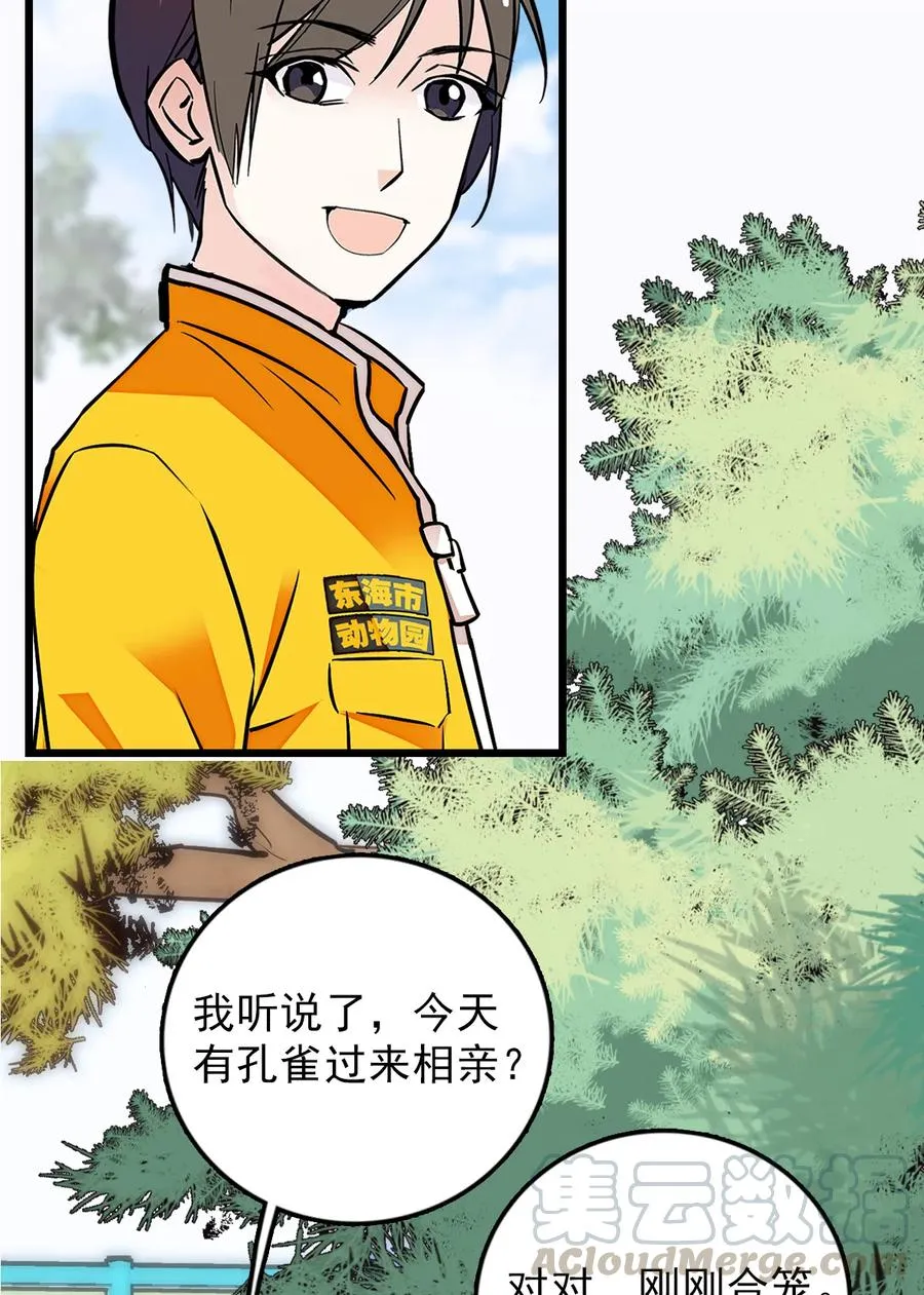 052 黄金蟒 第4页