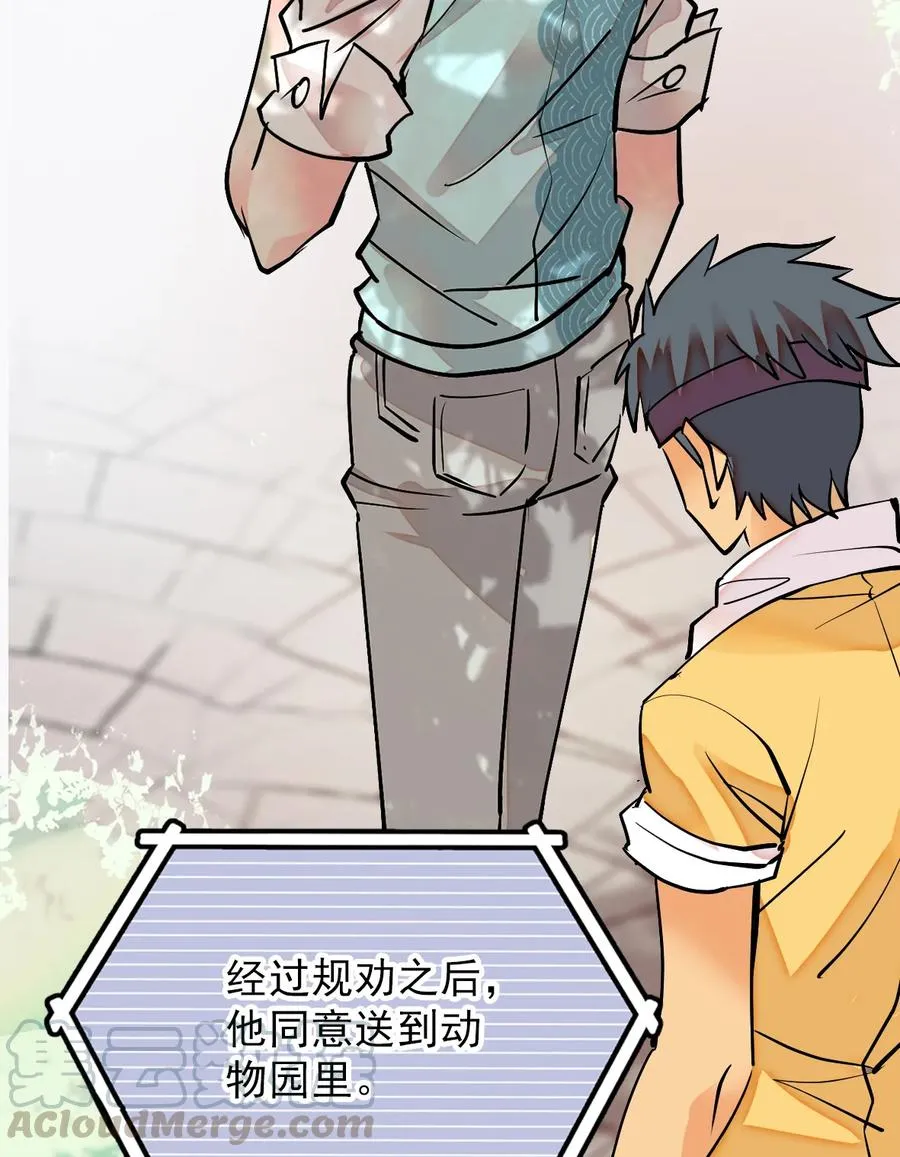 052 黄金蟒 第16页