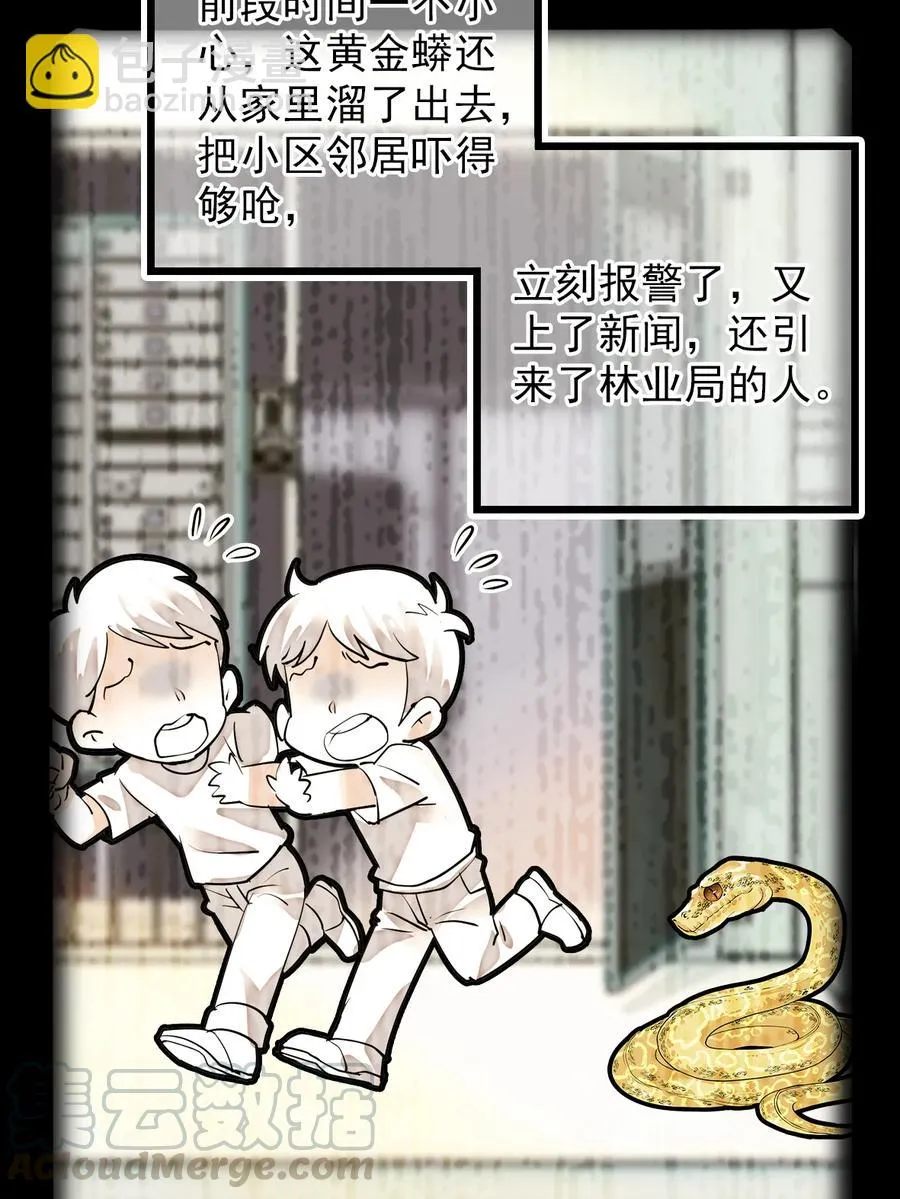 052 黄金蟒 第28页