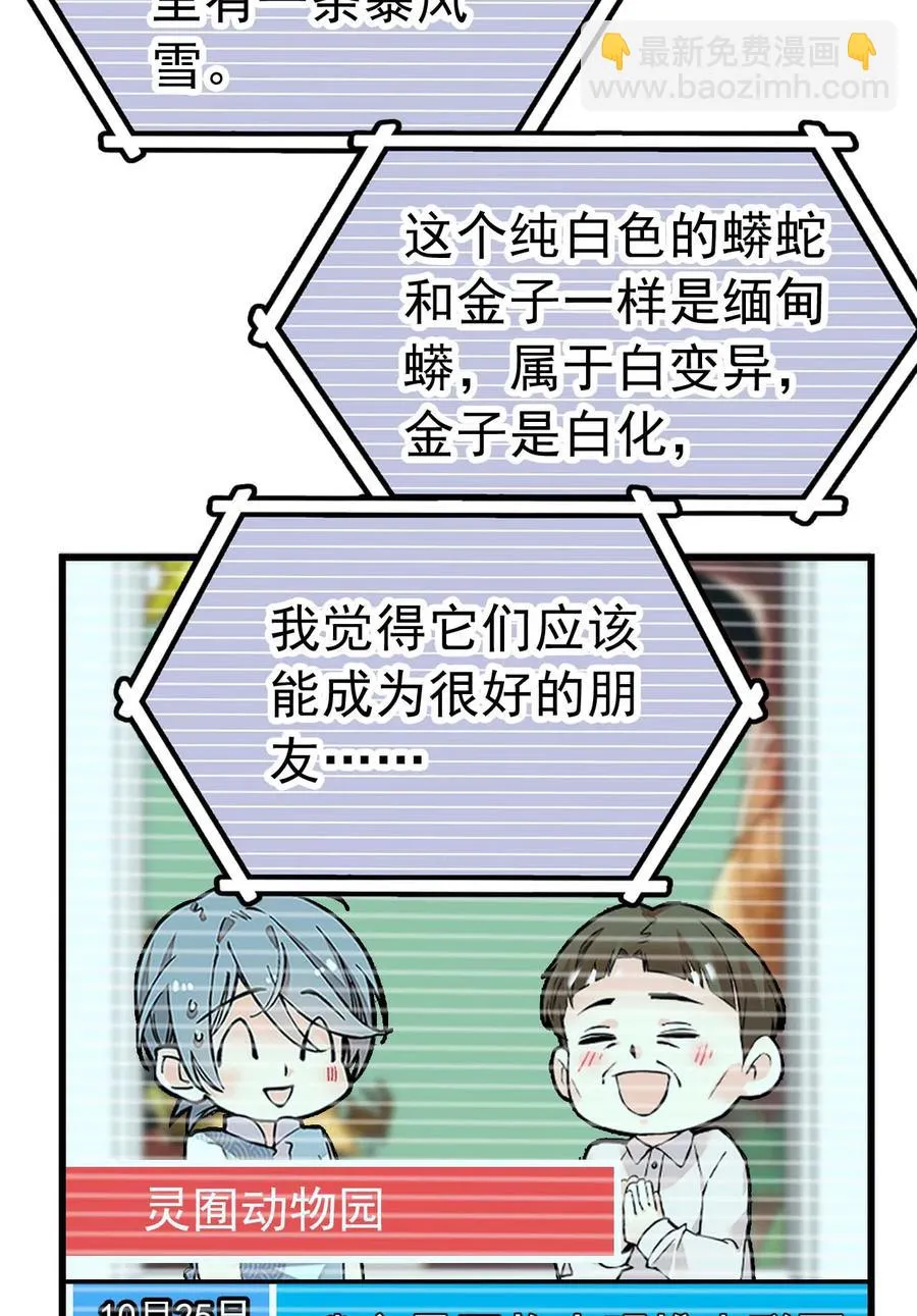 054 熟悉的配色 第5页
