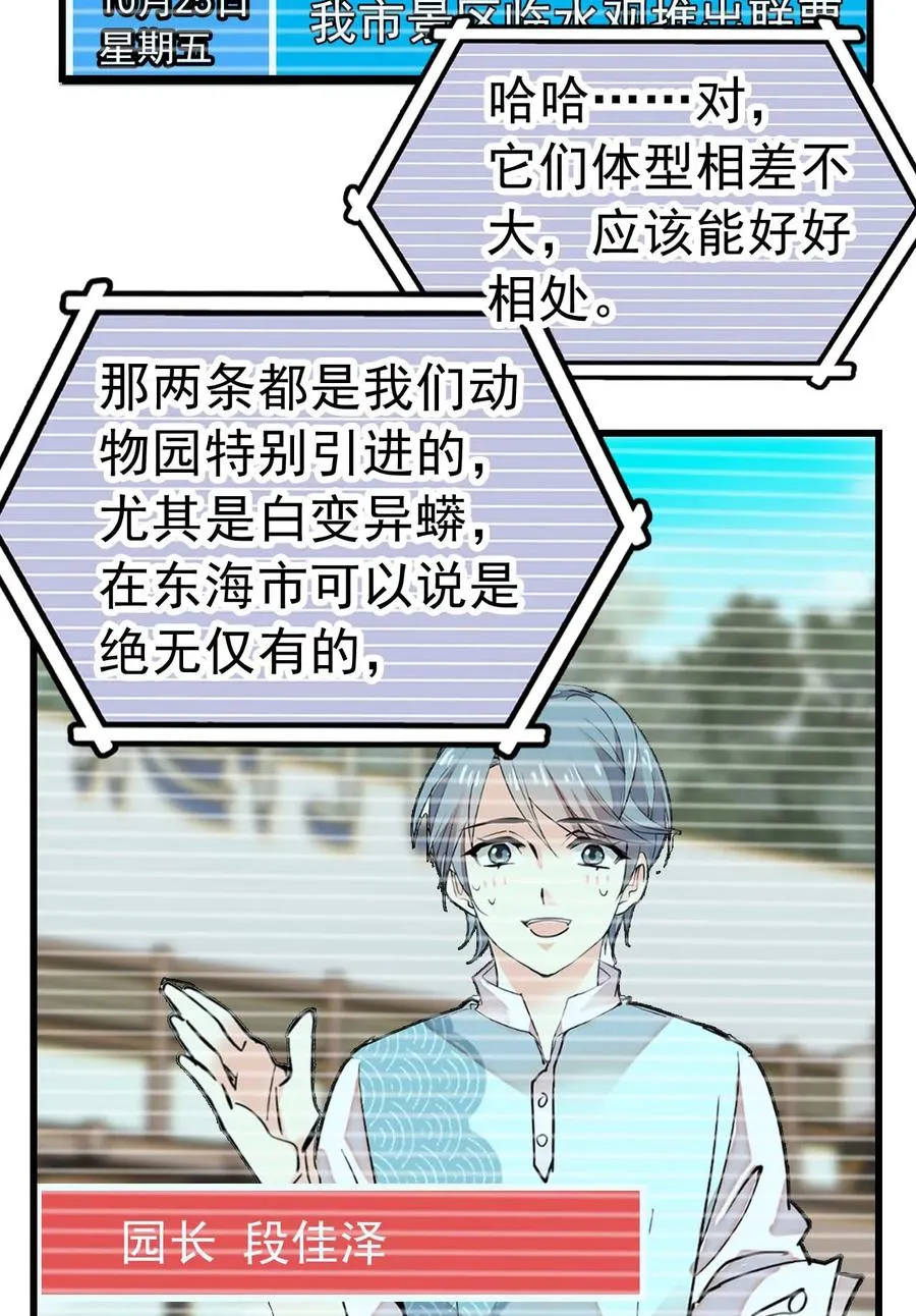 054 熟悉的配色 第6页