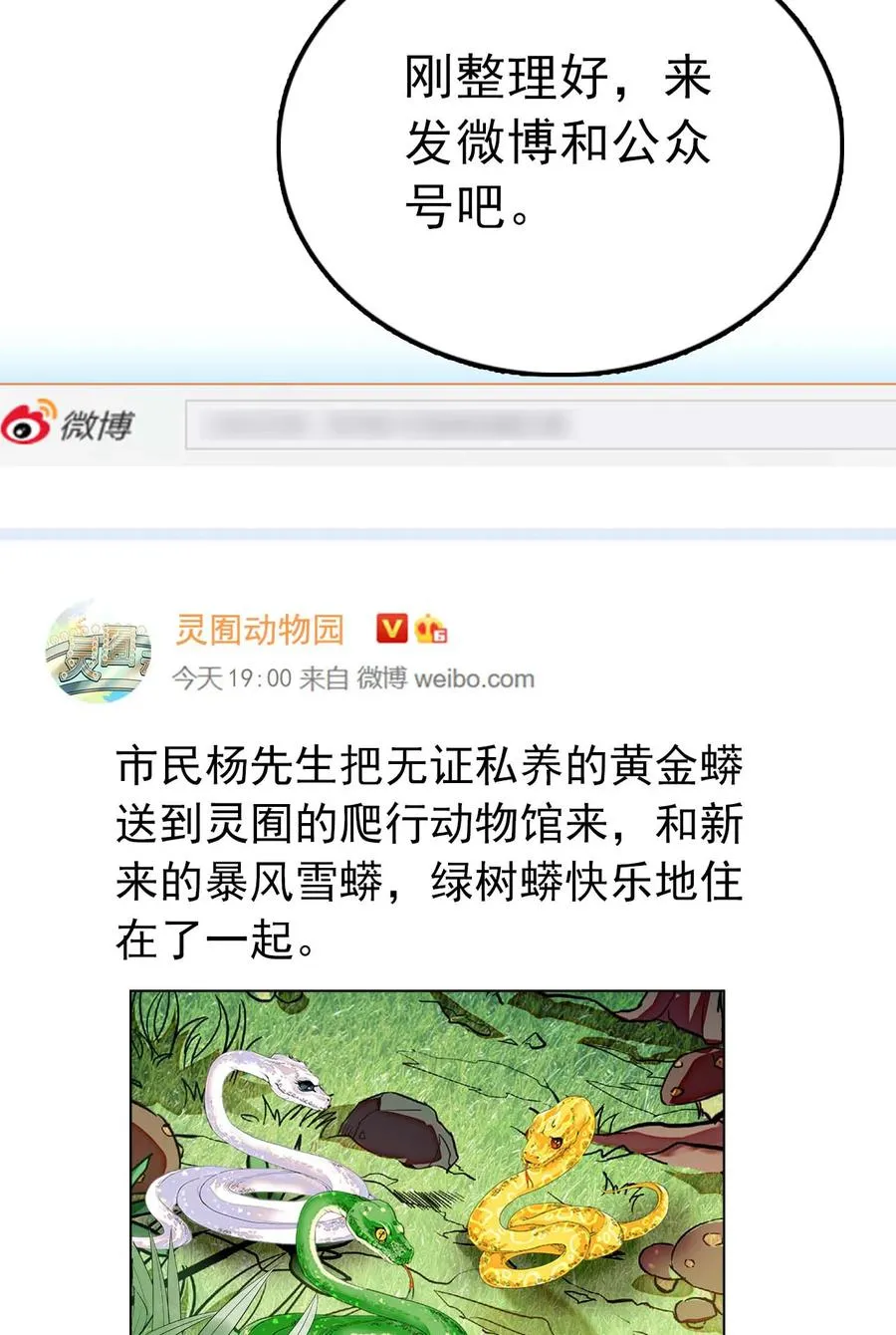 054 熟悉的配色 第15页