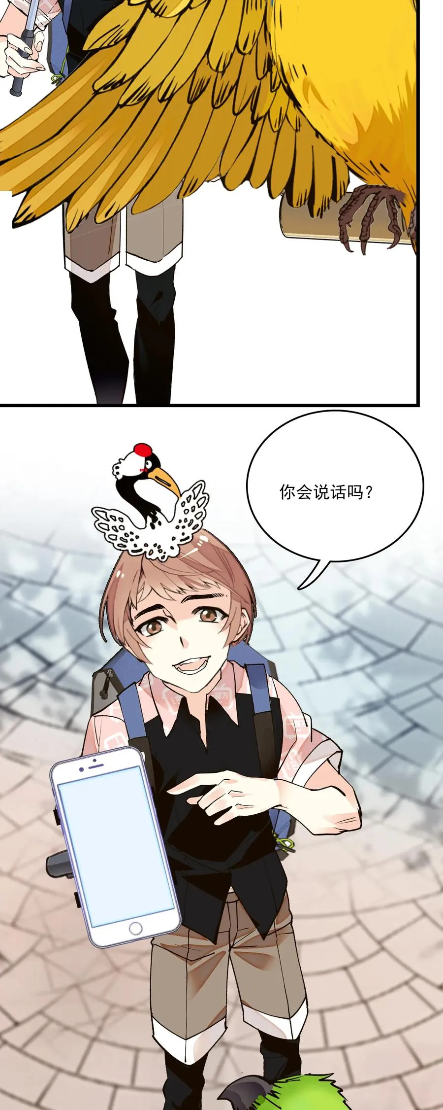 071 游玩的主播 第11页