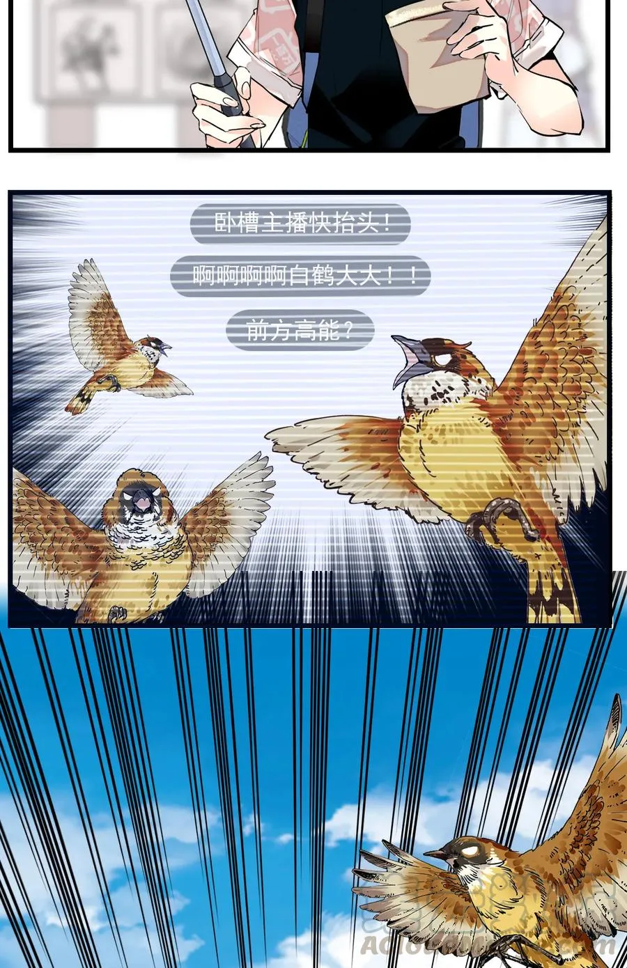 071 游玩的主播 第16页