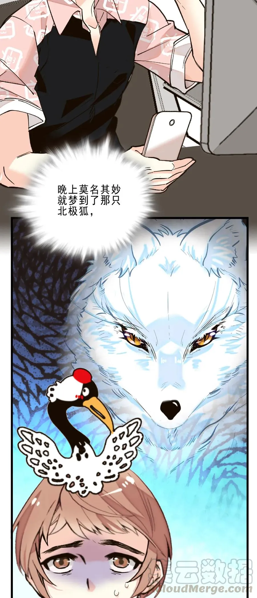075 意外捐款 第16页