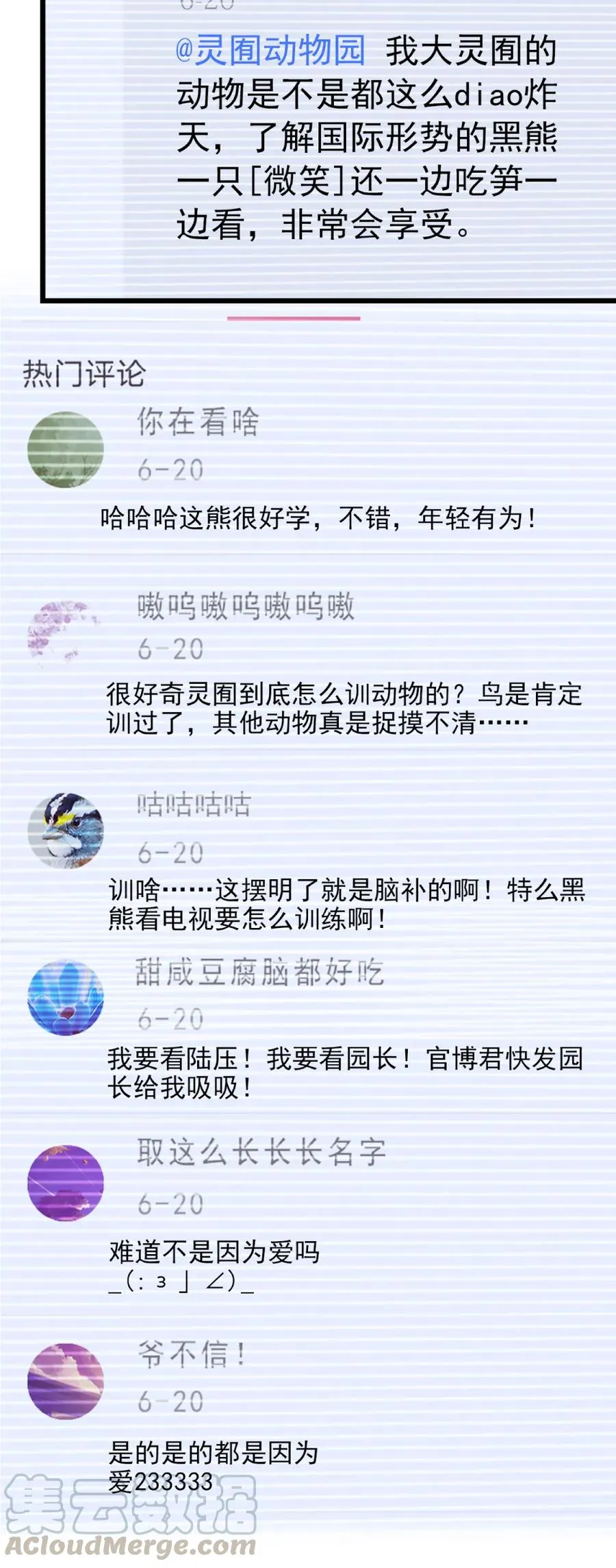088 人鸟互动 第4页