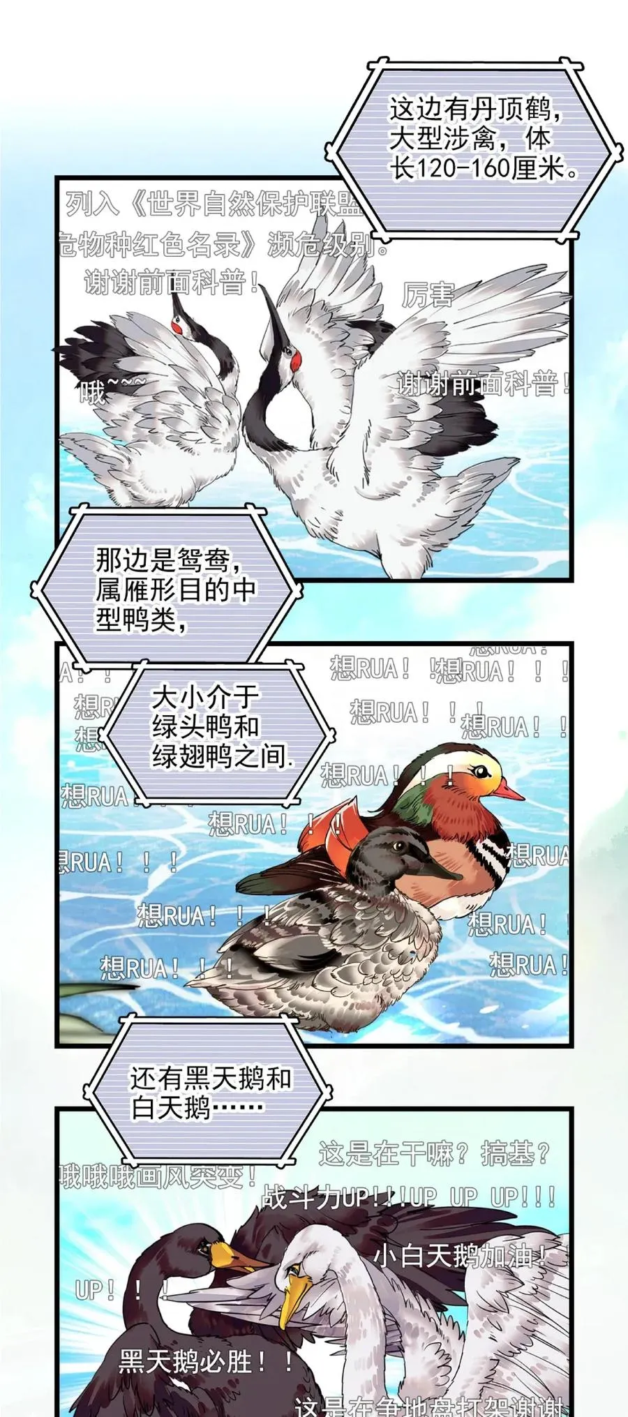 096 小试直播 第14页