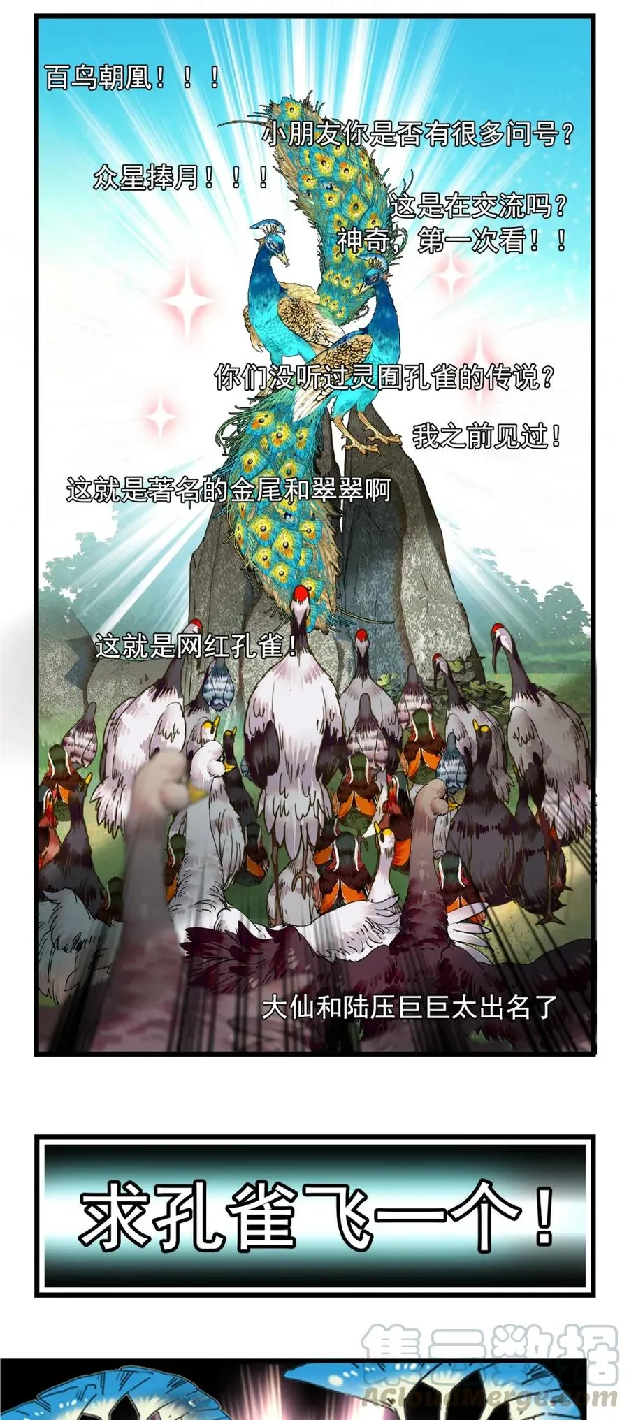 096 小试直播 第16页