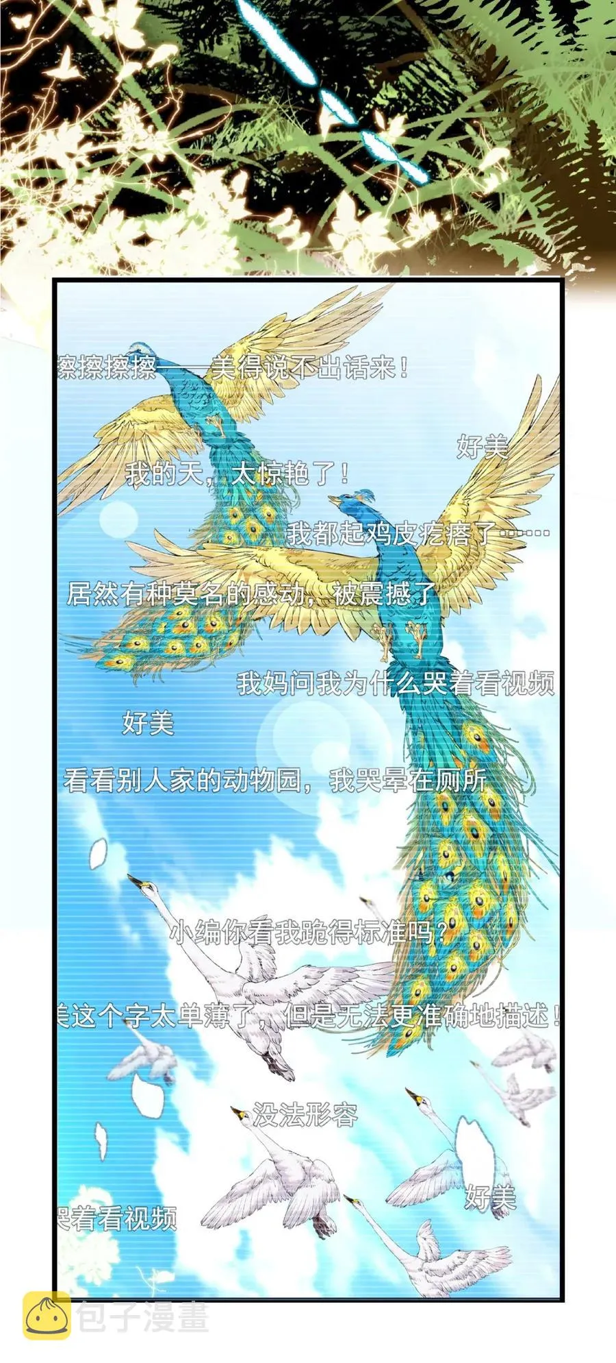 096 小试直播 第20页