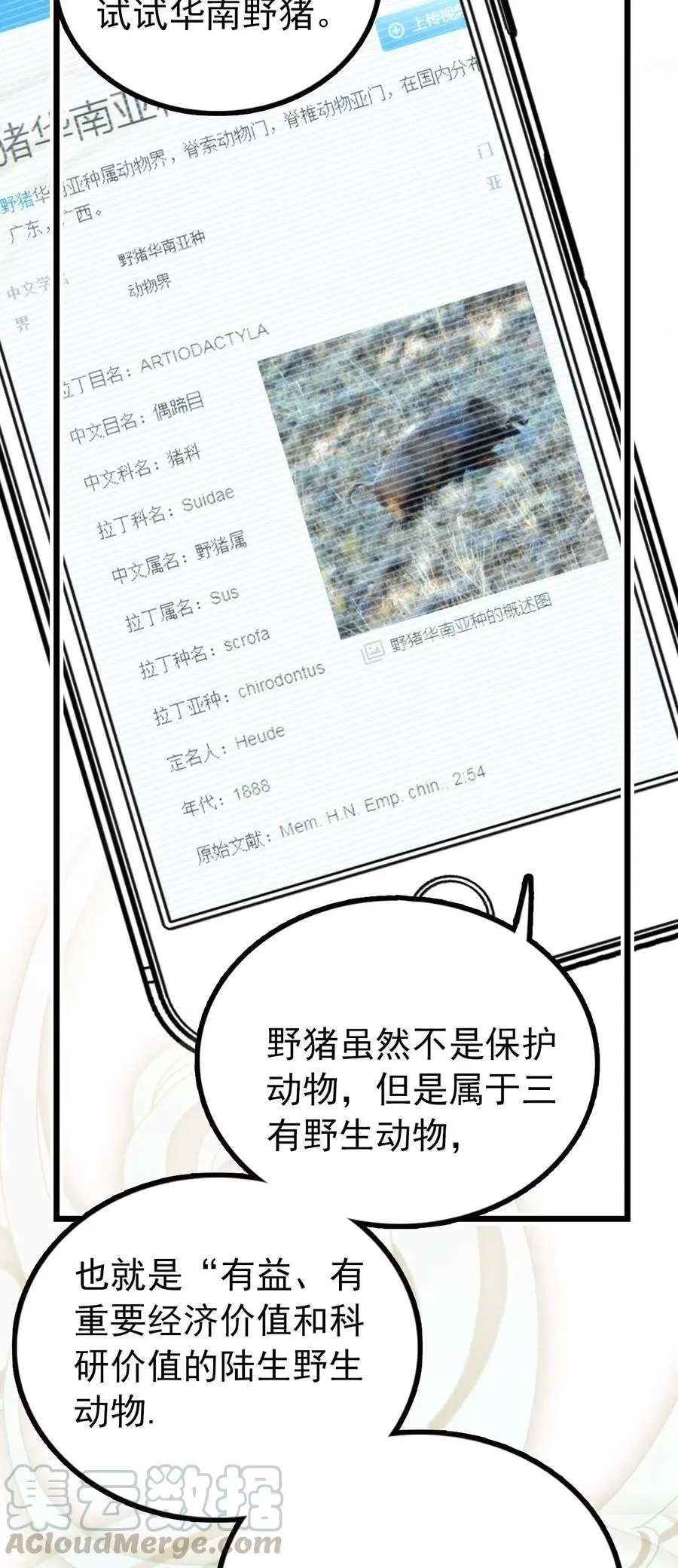 114 化形 第19页