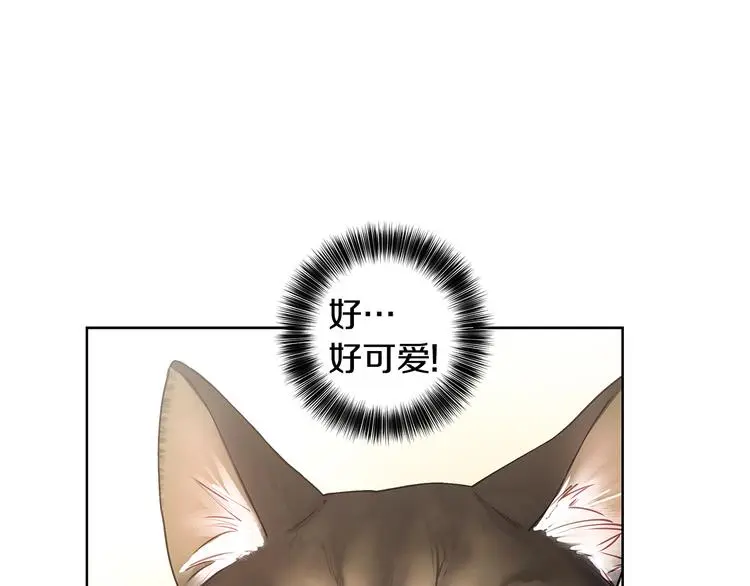 第31话 被萌化惹 第33页