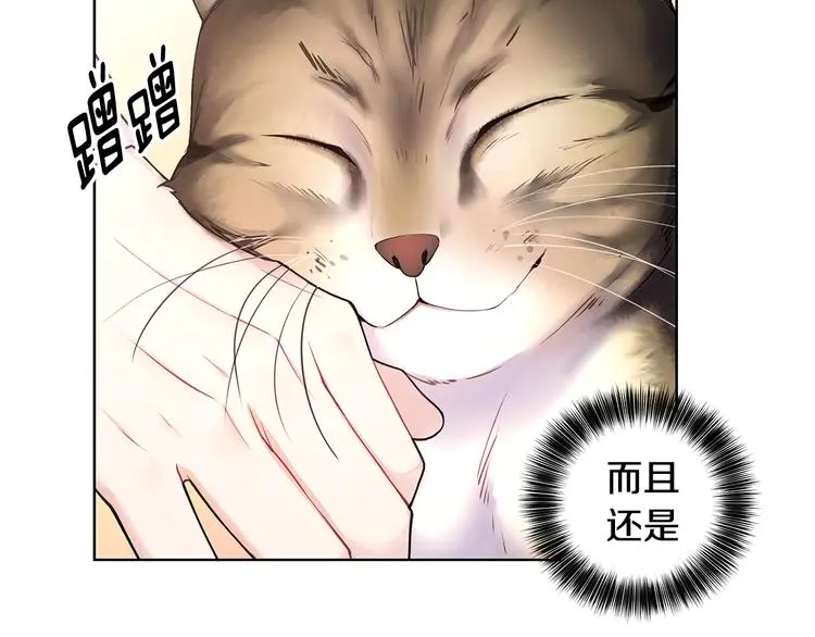 第31话 被萌化惹 第34页