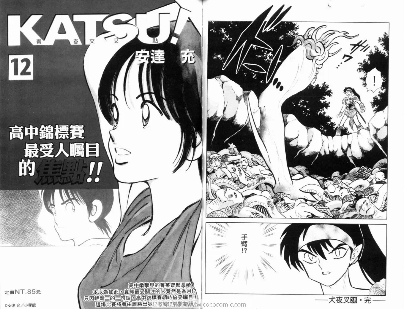 第38卷 第96页