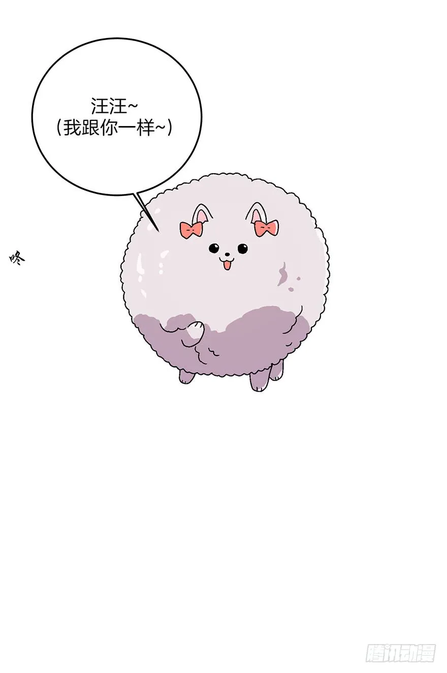 第15话 第19页