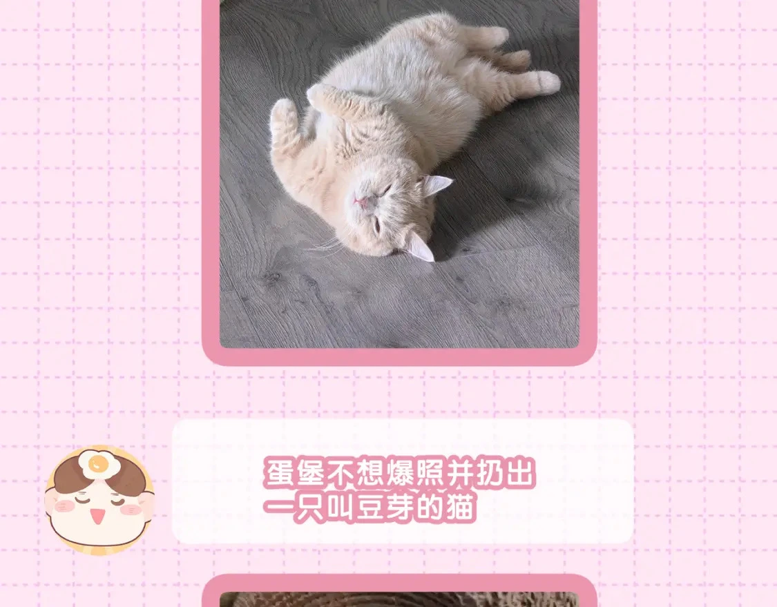作者茶话会 第13页