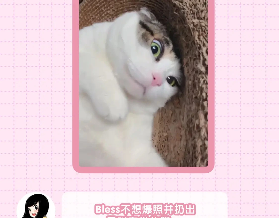 作者茶话会 第14页