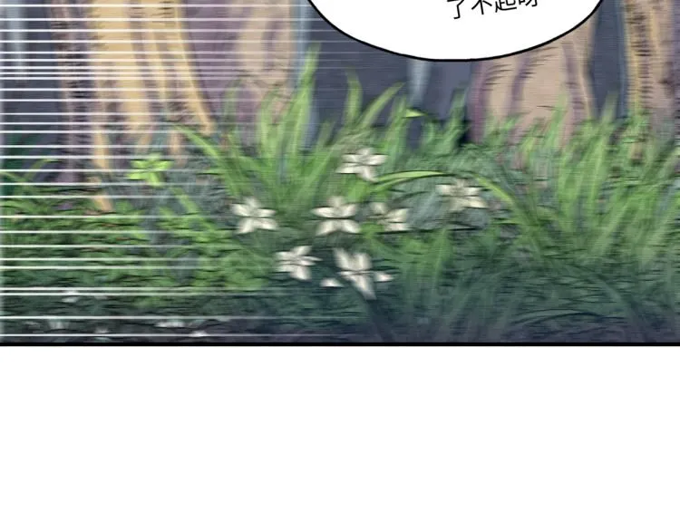 041 第42页
