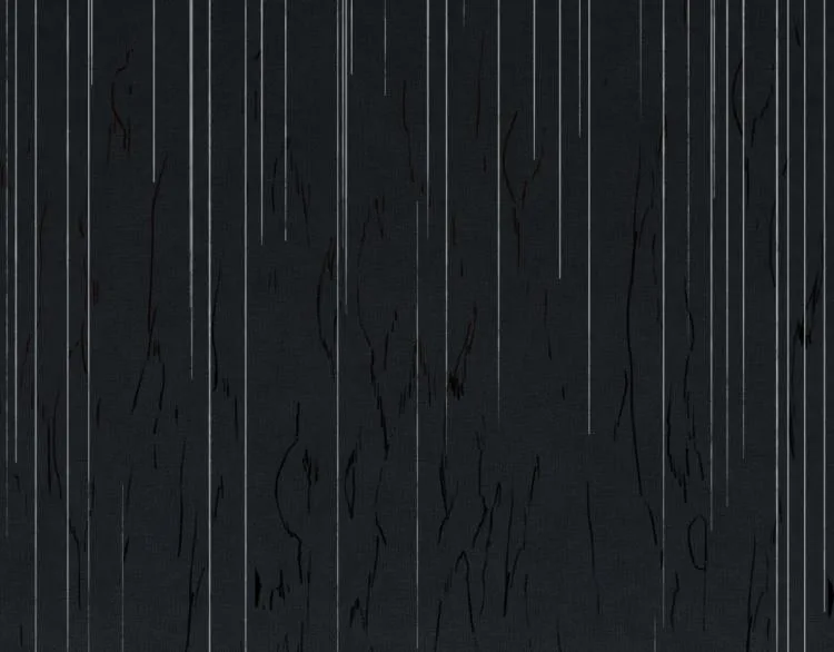 041 第88页