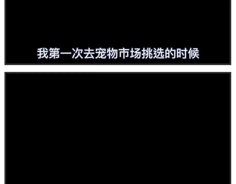 第二十四话 《宠物》终映 第205页