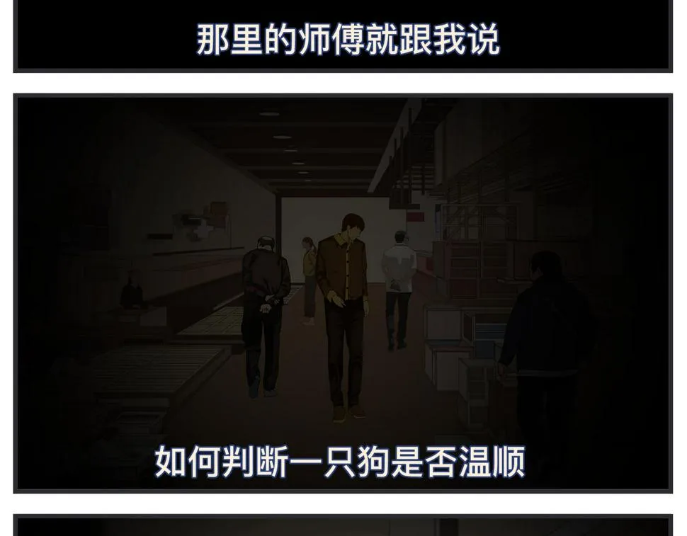 第二十四话 《宠物》终映 第206页