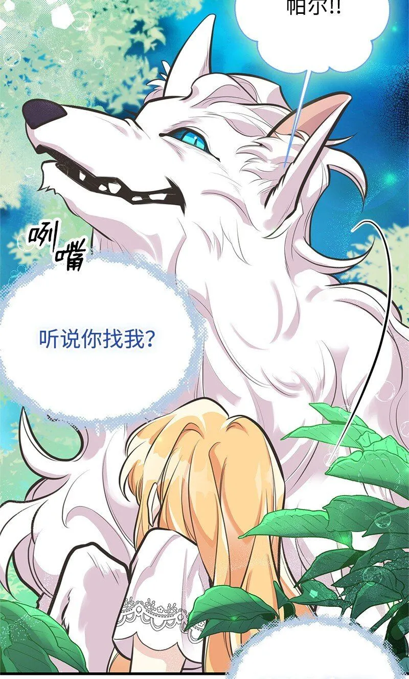 64 见到帕尔 第32页