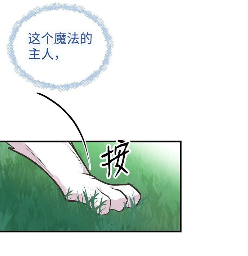 64 见到帕尔 第43页