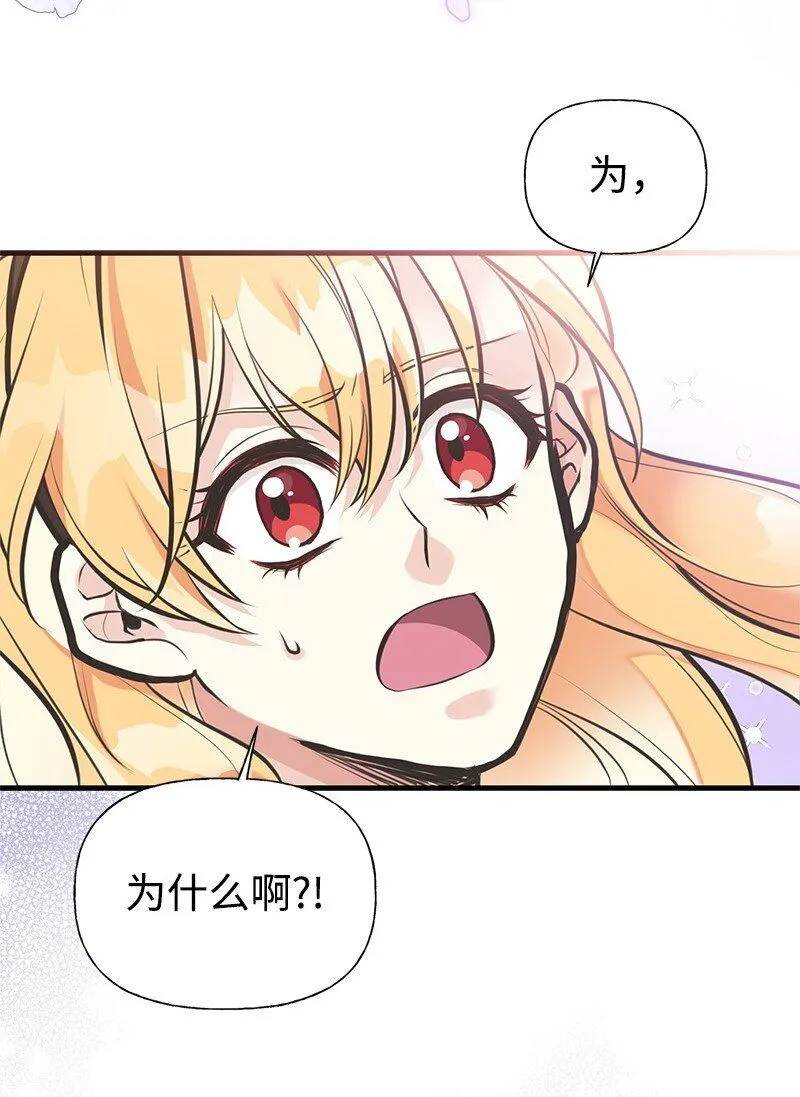 62 危机 第29页