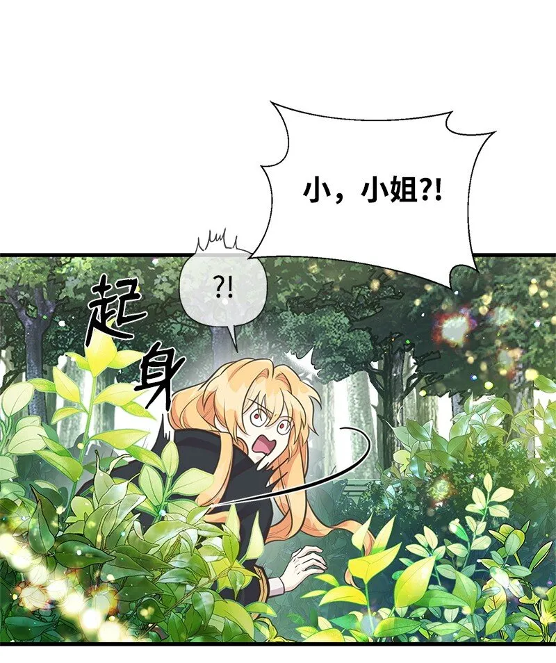 67 公女的另一面 第44页