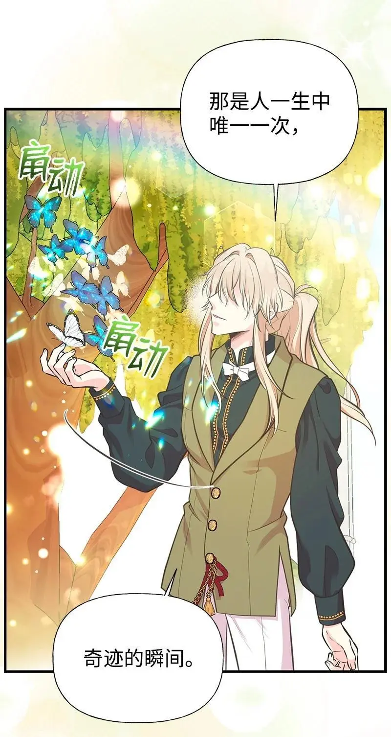 71 魔法季节 第18页
