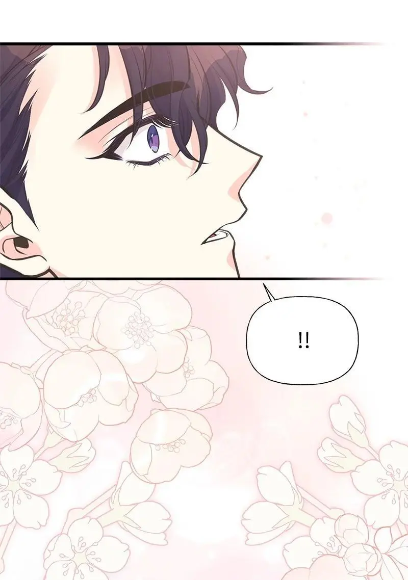 71 魔法季节 第72页