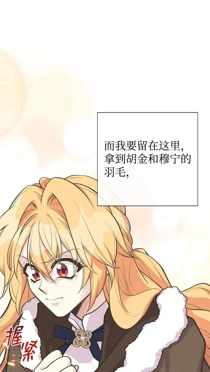 79 进入白色山脉 第6页