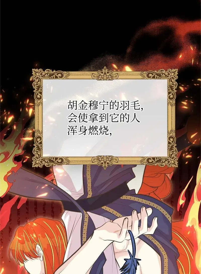 79 进入白色山脉 第14页