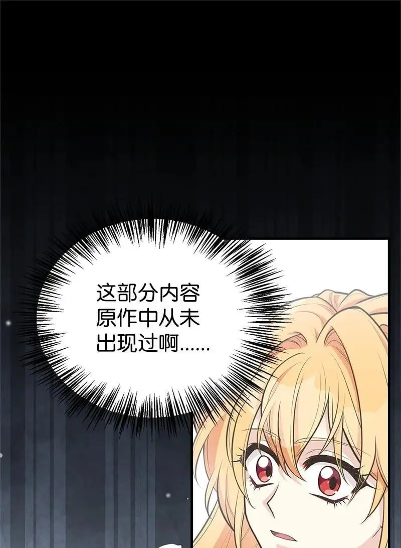 79 进入白色山脉 第21页
