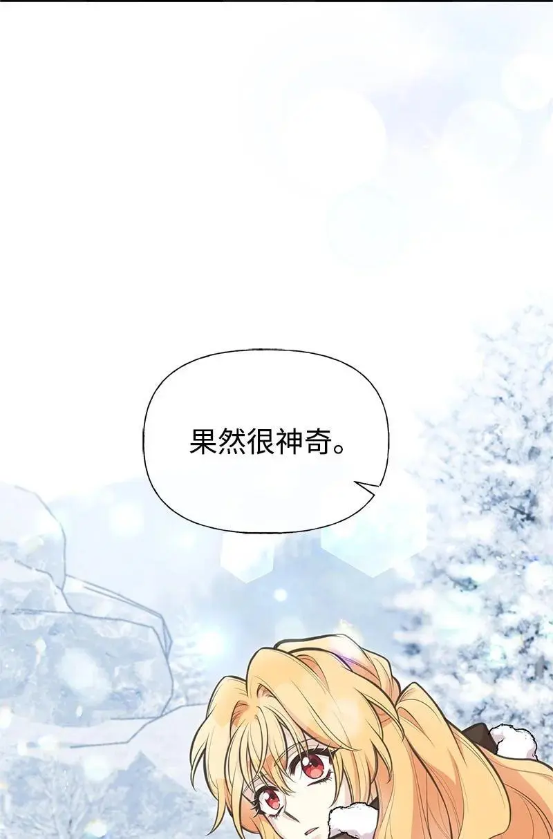 79 进入白色山脉 第29页